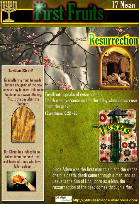 12 Feast Of First Fruits Ideas Feasts Of The Lord Resurrection Day