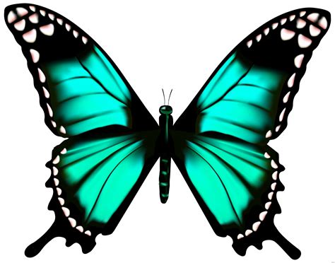 Pin by Odyssey on Animal-Butterfly | Butterfly clip art, Butterfly drawing, Butterfly painting