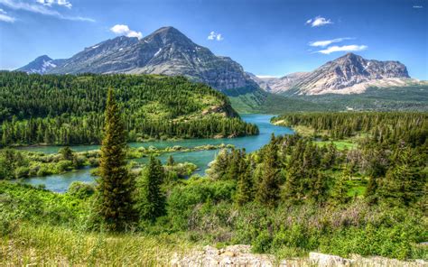 Amazing Green Forest In Glacier National Park Wallpaper Nature