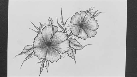 Step Beginner Easy Flower Drawings In Pencil