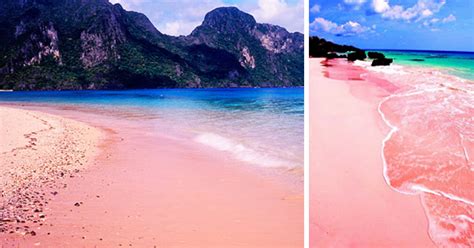 Two Amazing Pink Sand Beaches In The Philippines