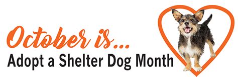 Adopt A Shelter Dog Month