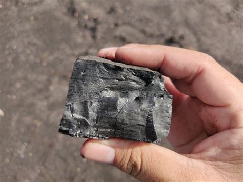 Bituminous Anthracite Coal High Grade Coal On Hand Stock Image