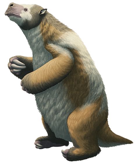 Giant Ground Sloth Megatherium Americanum Animal Sid Ice Age Png