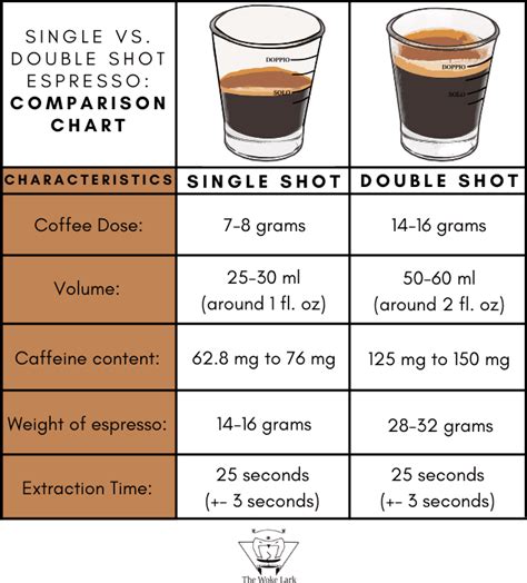 Single Vs Double Shot Espresso The Comparison WokeLark