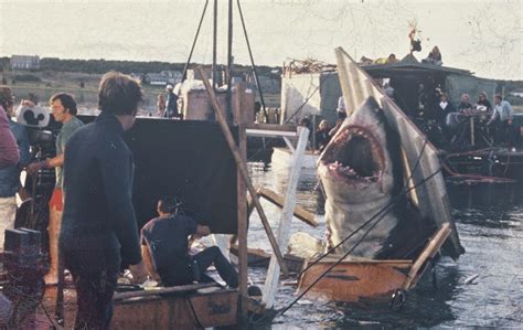 Rare Color Photos From The Filming Of Jaws On Katama Bay Martha S