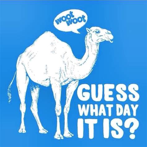At memesmonkey.com find thousands of memes categorized into thousands of categories. LIFE WITH THE ECKLEYS: It's Hump Day