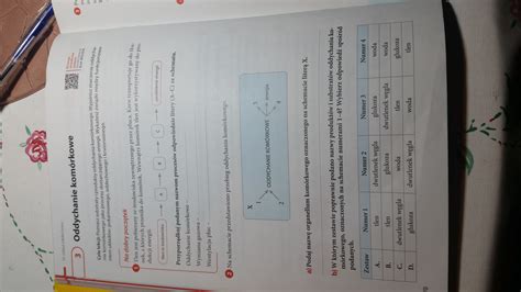 Cwiczenia Do Biologi Klasa 7 - Biologia zeszyt ćwiczeń strona 70 do 71 klasa 7 "Puls życia " Proszę o szybką odpowiedź - Brainly.pl