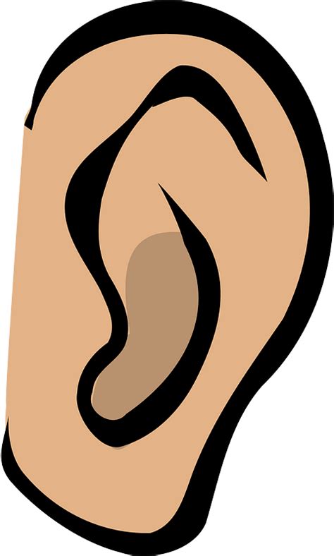 Ear Clipart Free Download Transparent Png Creazilla