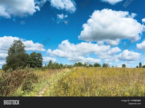 Meadow Yellow Image And Photo Free Trial Bigstock