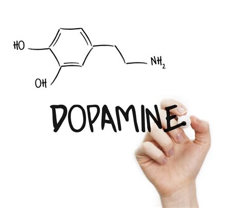 The Role Of Dopamine In Drug Addiction Life Apps Live And Learn