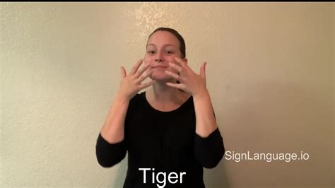 Tiger In Asl Example 2 American Sign Language