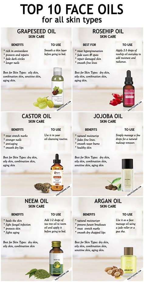 10 Best Oils For All Skin Types Little Shine
