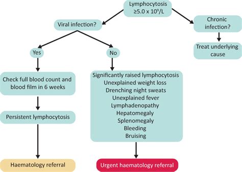 Lymphocytosis And Chronic Lymphocytic Leukaemia Investigation And