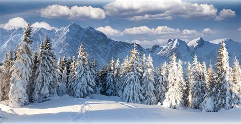 Hintergrundbilder Bäume Landschaft Wald Berge Natur Schnee