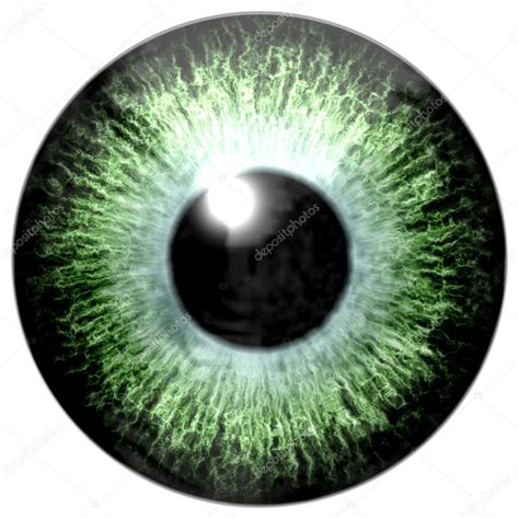 Detalle Del Ojo Con Iris De Color Verde Claro Y Pupila Negra