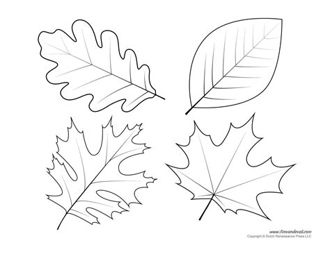 Blank Leaf Template With Lines Addictionary