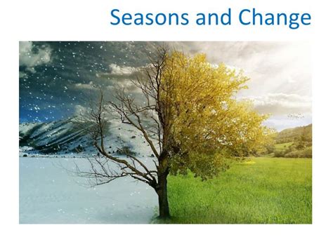 PPT - Seasons and Change PowerPoint Presentation, free download - ID