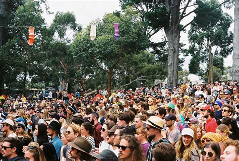 who the hell look meredith music festival 2017