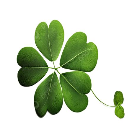 Realistic Picture Of Green Four Leaf Clover Clover Green Plant Png