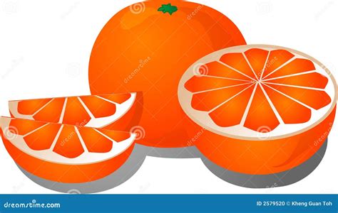 Cut Orange Illustration Stock Vector Illustration Of Mandarin 2579520