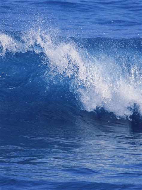 Animated Ocean Waves Laderscope
