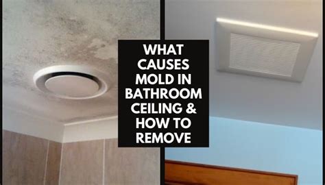 Unpleasant to both look and smell, mold on bathroom ceiling and other parts can be get rid to a minimum step can be applied to get maximum result. What Causes Mold in Bathroom Ceiling & How to Remove