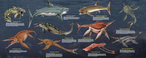 Large Prehistoric Sea Monsters