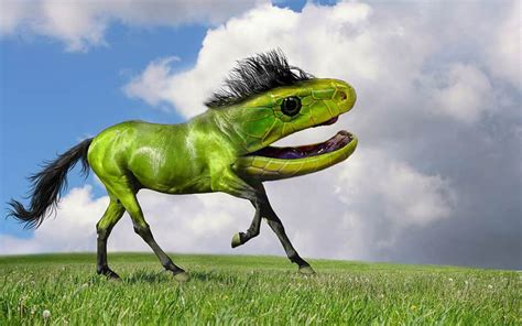 Photoshopped Hybrids Animals