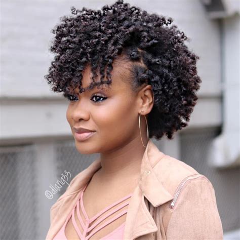 Dlang Natural African American Hairstyles Natural Hair Twists Short Natural Hair Styles