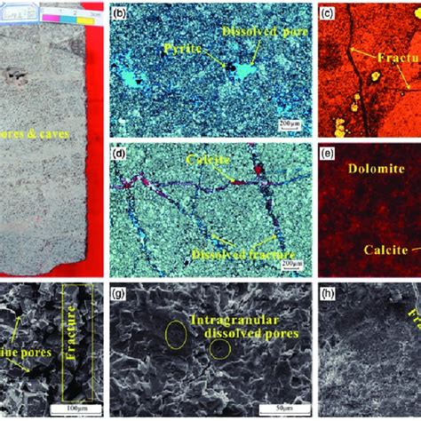 Typical Microscopic Characteristics Of Dolomite Samples From The Ma5