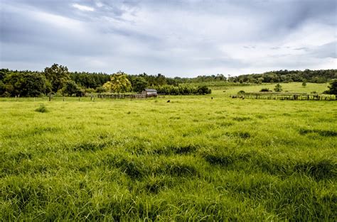 Fotos Gratis Paisaje árbol Naturaleza Césped Montaña Nube Cielo