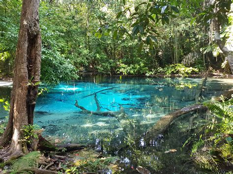 Heute soll es für uns in den sa morakot nationalpark in krabi gehen, wo sich der beliebte emerald pool und blue pool befinden. The Blue Pool Thailand