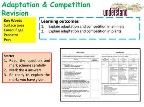 Ks4 Gcse Biology Adaptation And Competition Revision Lesson Teaching