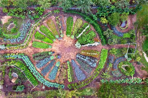 1 Permaculture Et Agroforesterie Le Blog Miimosa