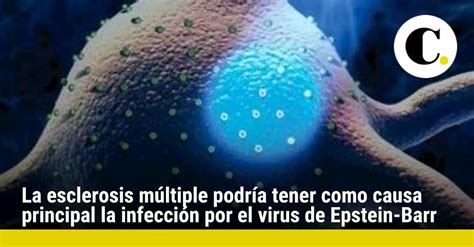 ¿el Virus De La Enfermedad Del Beso Está Relacionado Con La