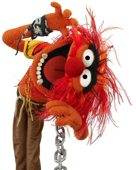Animal Animal Muppet Muppets The Muppet Show