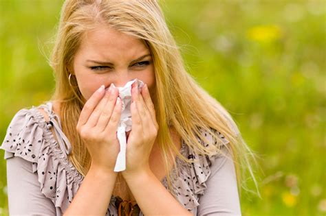 Woman With A Hay Fever Free Stock Photo Public Domain Pictures