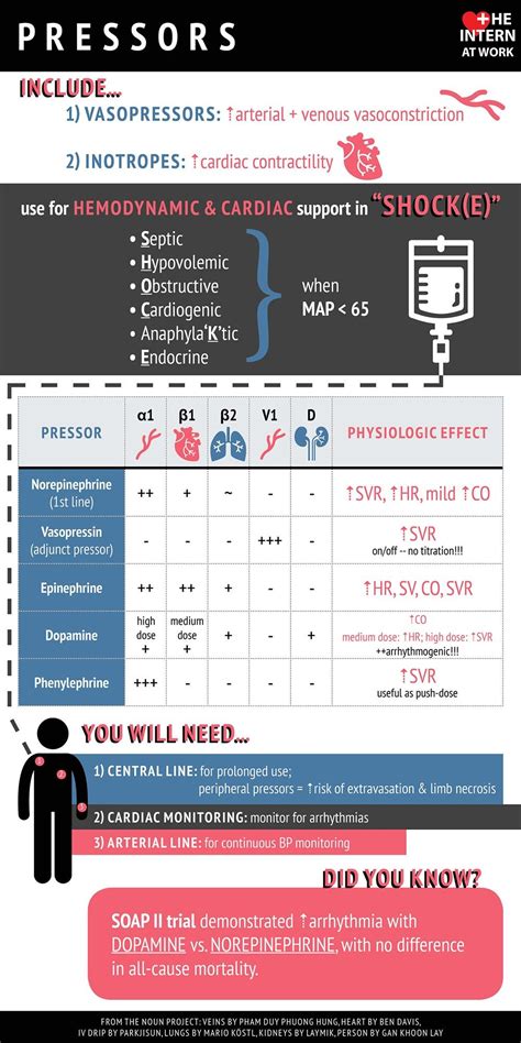 Pin On Free Heart And Cardiology Infographics
