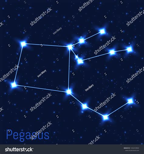 Vector Illustration Pegasus Constellation Cluster Realistic Stock
