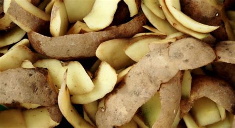 Reasons You Should Never Throw Away Potato Peels