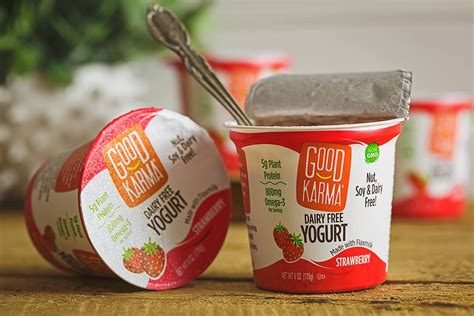 What brands of yogurt are vegetarian? The 10 Best Dairy-Free Yogurt Brands to Raise a Spoon To