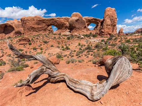 Arches National Park Driving Tour Mit Audio Guide Getyourguide