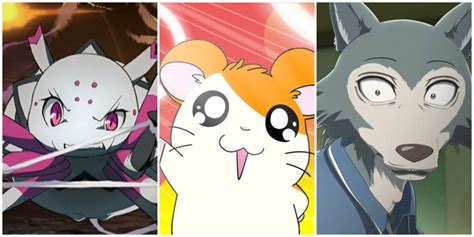 10 Best Anime With Animal Protagonists Ranked