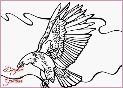 31 Sketsa Hitam Putih Logo Gambar Burung Garuda Paling Populer