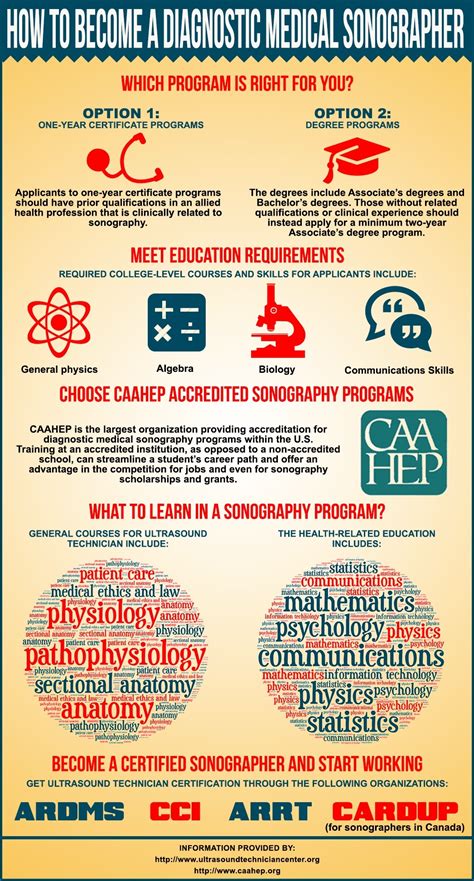 How To Become A Diagnostic Medical Sonographer Infographic