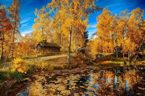 Fall Norway Norway Autumn Pointofno23 Norway Wallpaper New