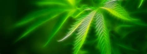 73 free facebook cover photos. Fb Covers: Nature Facebook Timeline Covers