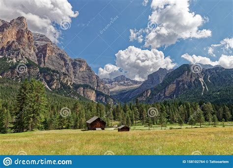 Beautiful View Of A Flowering Alpine Meadow At The Foot Of The Italian
