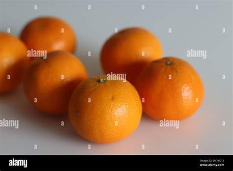 Malta Or Valencia Orange Is A Citrus Fruit Grown In India Commonly